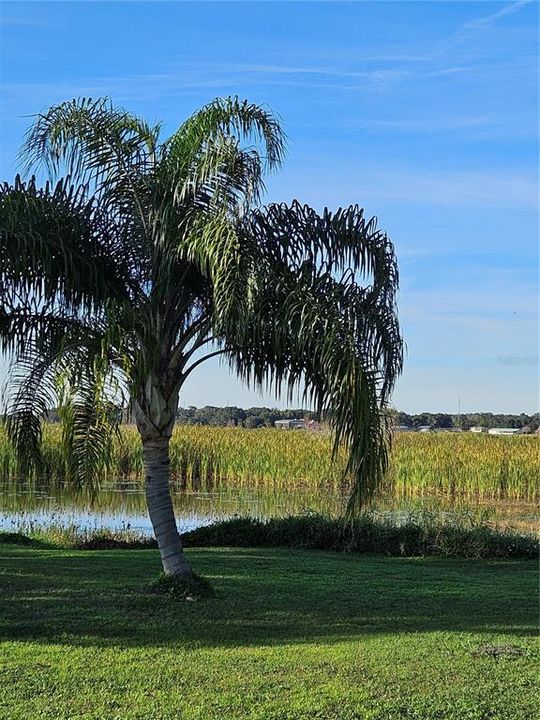 На продажу: $600,000 (1.48 acres)