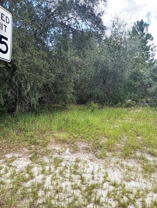 For Sale: $29,900 (0.17 acres)