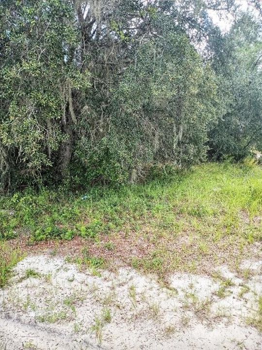 For Sale: $29,900 (0.17 acres)