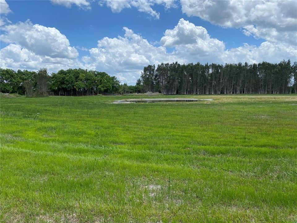 For Sale: $639,900 (40.00 acres)