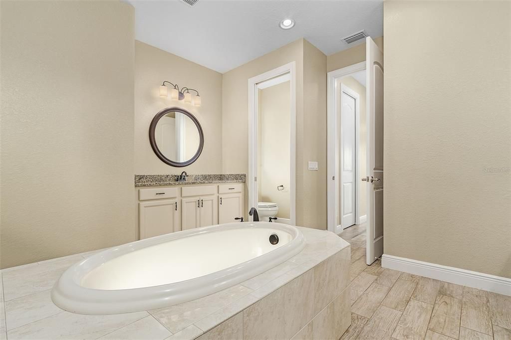 Master Bathroom Soaking Tub