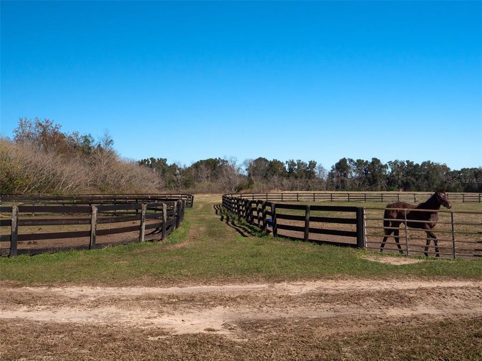 For Sale: $2,595,000 (100.00 acres)