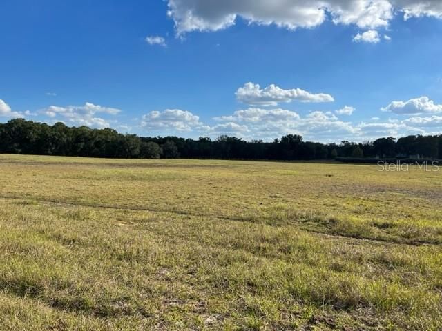 For Sale: $278,000 (11.12 acres)