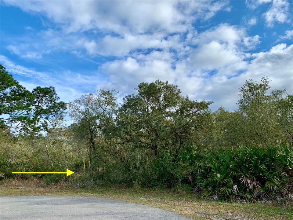 Recently Sold: $72,000 (1.00 acres)