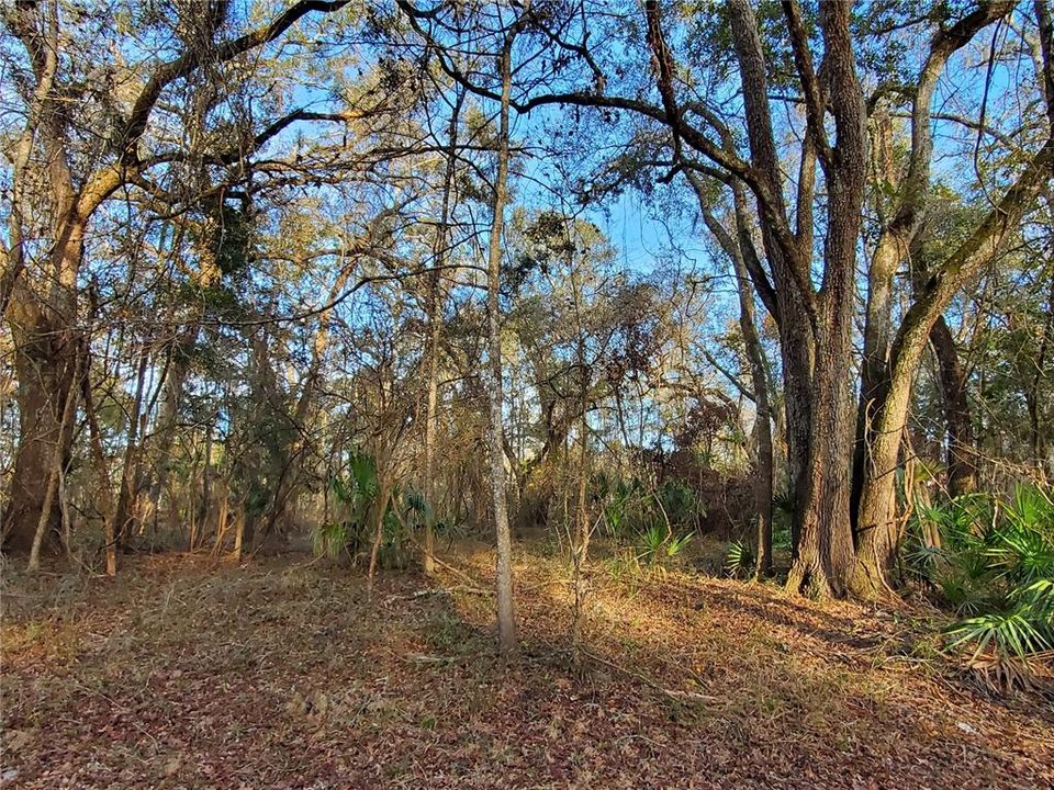 Recently Sold: $48,900 (1.99 acres)