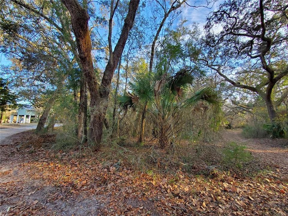 Recently Sold: $48,900 (1.99 acres)