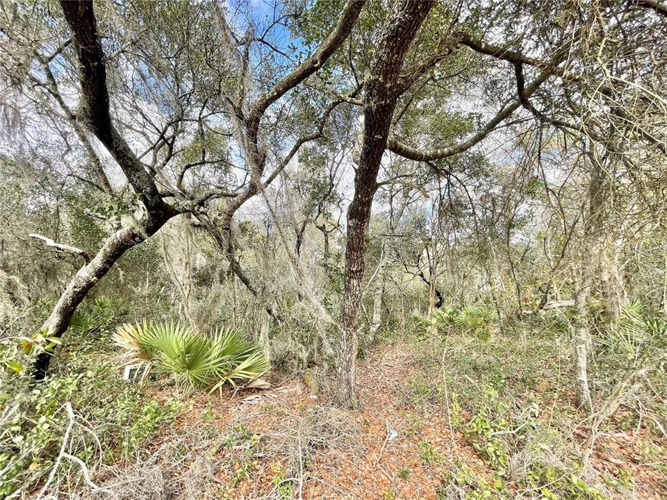 Recently Sold: $60,000 (0.56 acres)