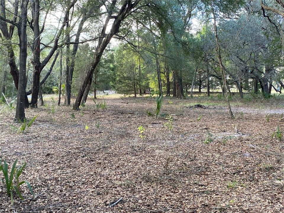 Recently Sold: $250,000 (17.56 acres)