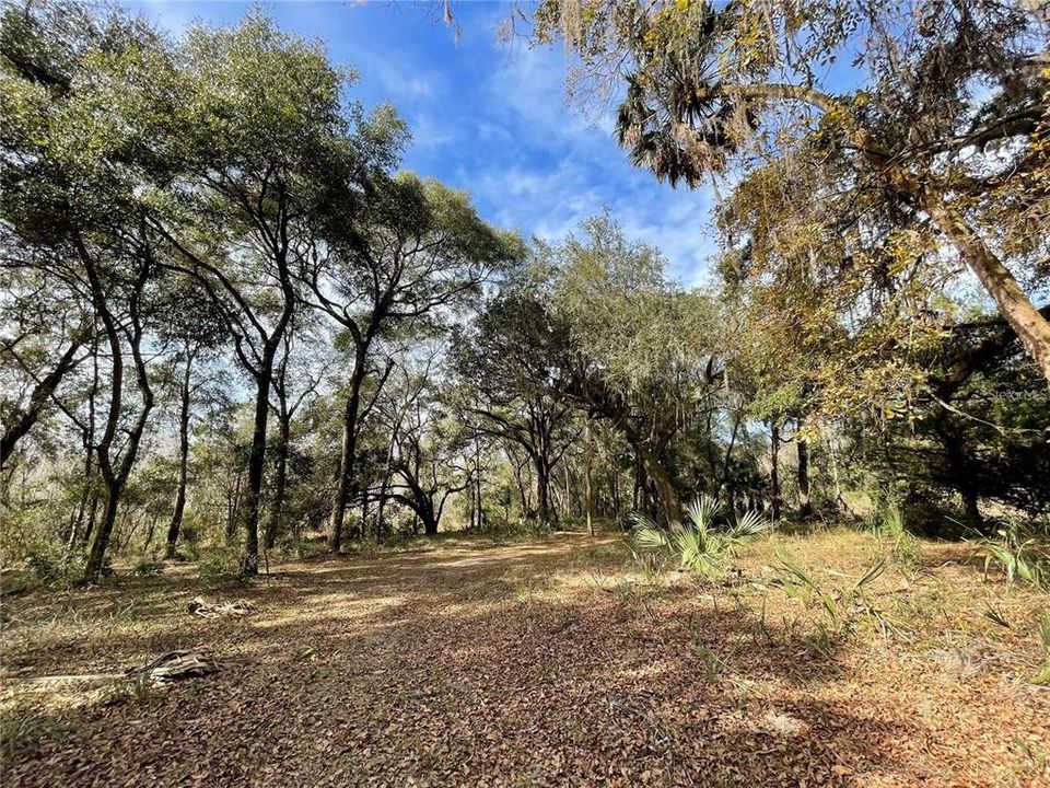 En Venta: $150,000 (5.44 acres)