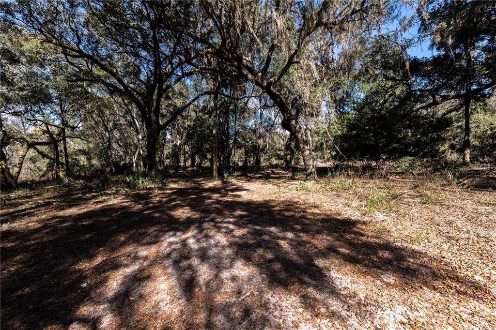 For Sale: $150,000 (5.44 acres)