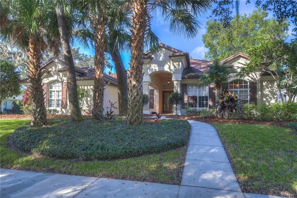 Luxury estate in gated Sora Trace Village in Fishhawk Ranch!