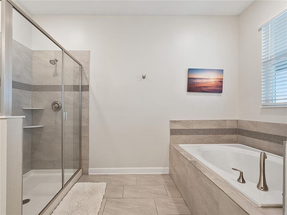 Shower Stall and Soaking Tub