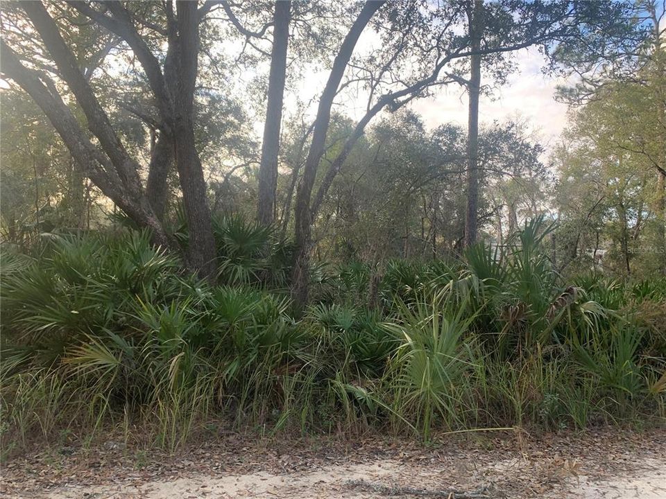 Недавно продано: $16,000 (0.23 acres)