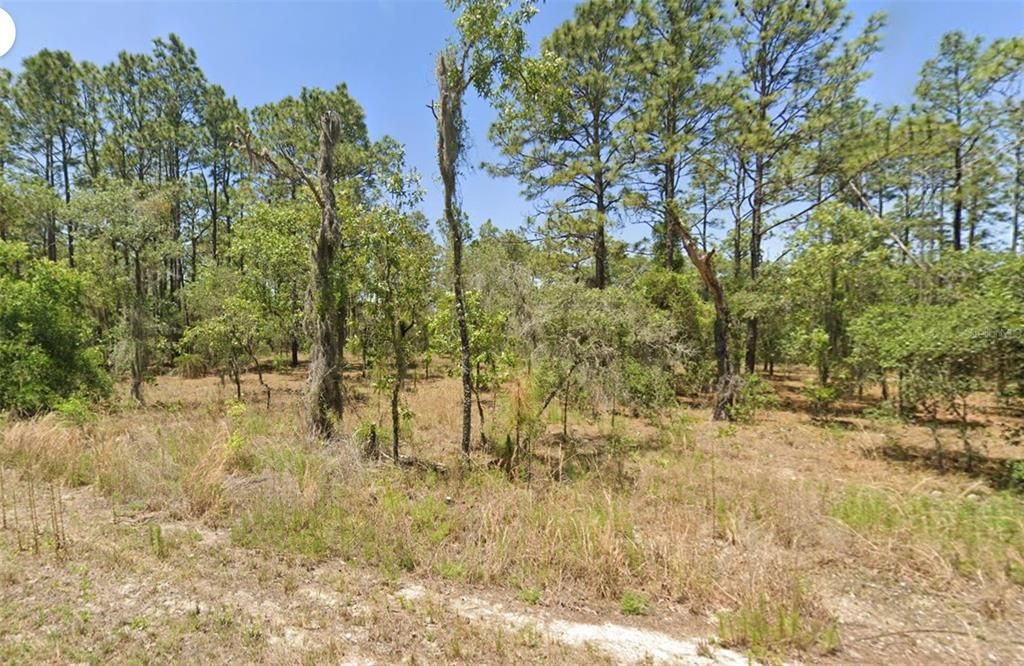 For Sale: $12,000 (0.25 acres)