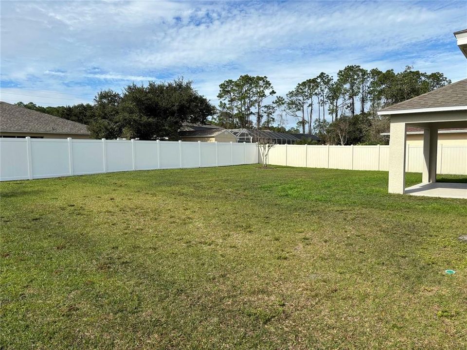 backyard (partially fenced)