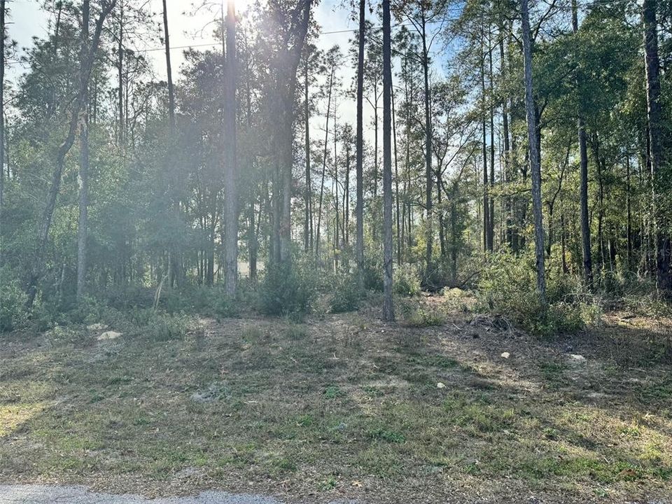 Welcome to Your New Homesite!