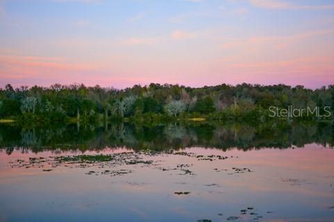 Wetlands Lake at Sunset