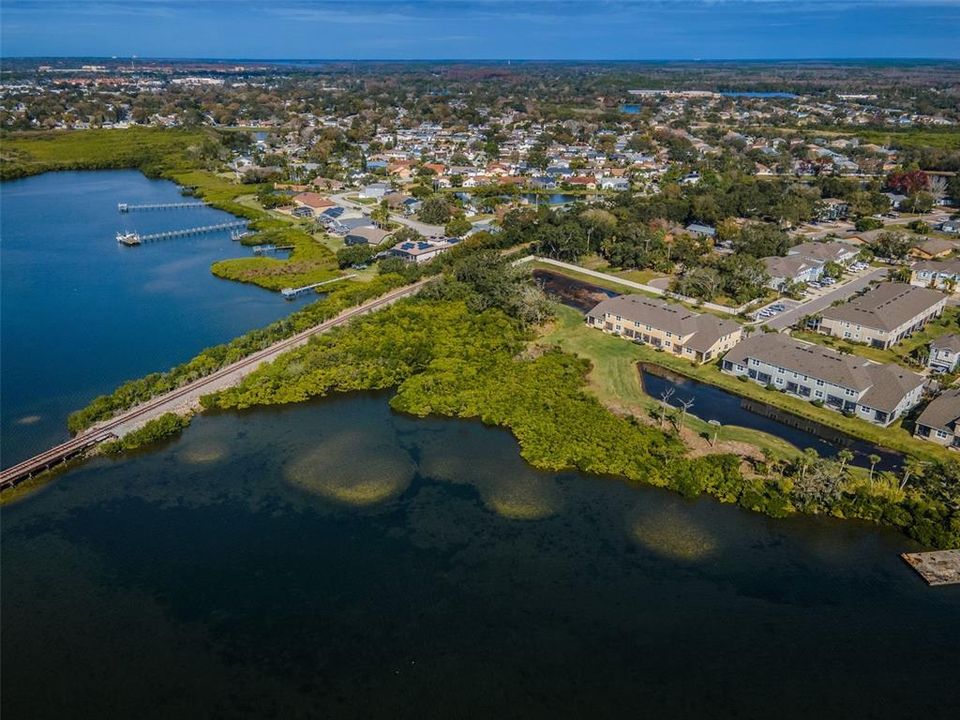 Aerial Shot of Community and Oldsmar in the background