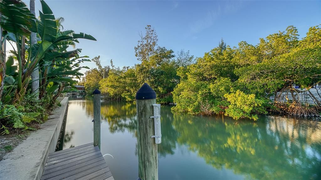 Fishing dock along the seawall. Perfect place to spot Squirt, the Mote Marine tagged Dolphin who is a frequent visitor