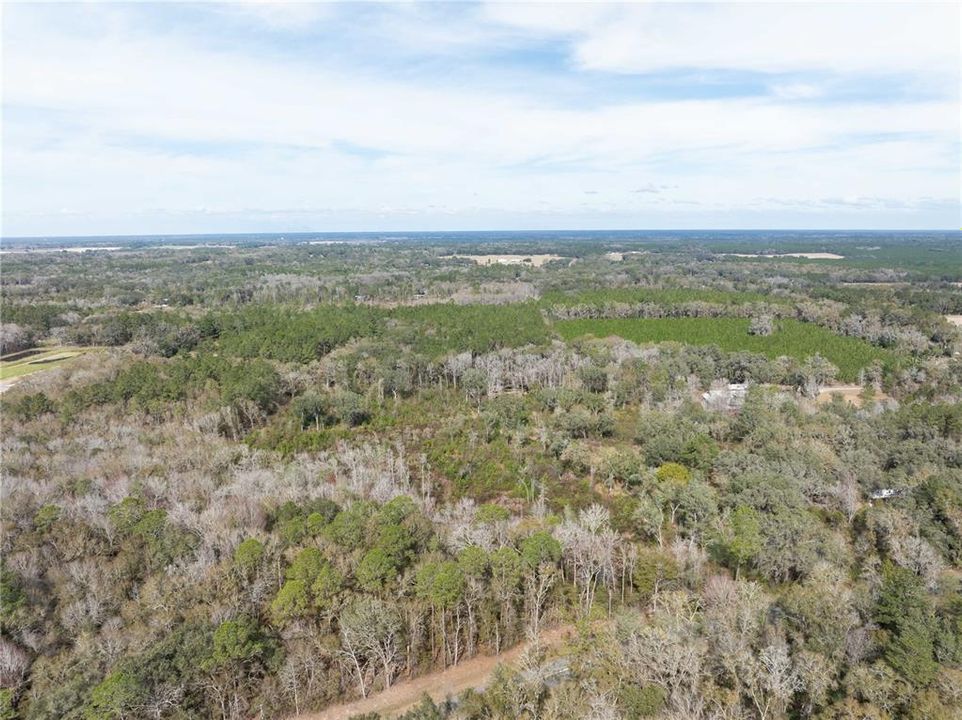 For Sale: $108,180 (12.02 acres)
