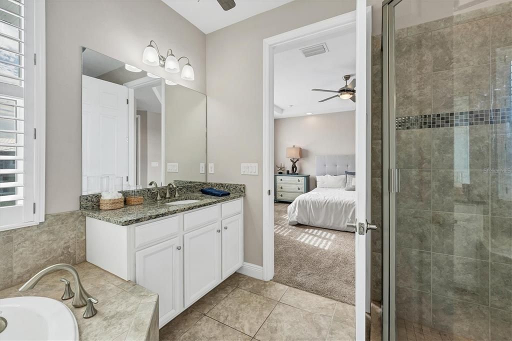 Main Master Bath with separate shower