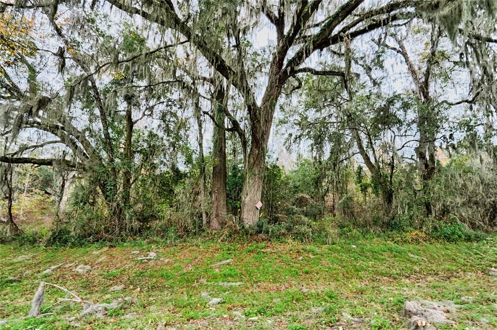 For Sale: $200,000 (1.14 acres)