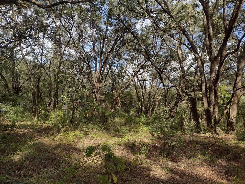Recently Sold: $115,000 (3.00 acres)