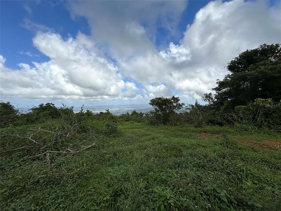 Recently Sold: $79,000 (4.85 acres)