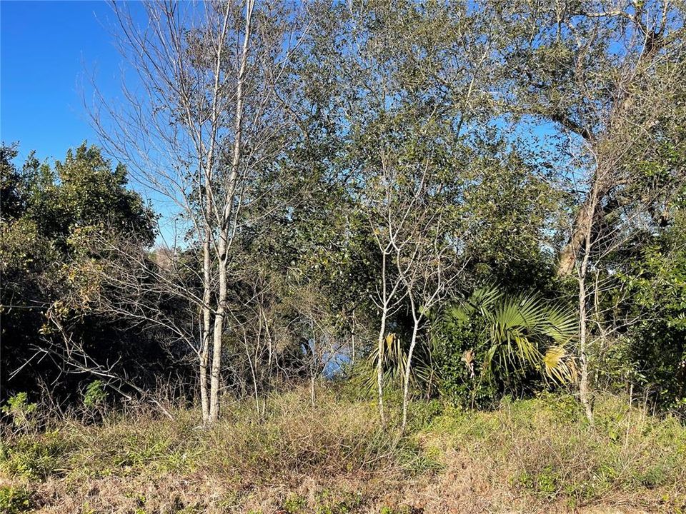 En Venta: $45,000 (0.51 acres)