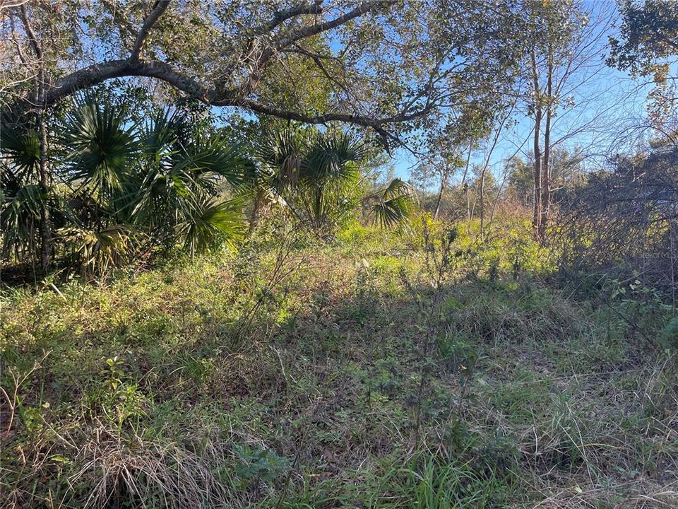 En Venta: $45,000 (0.51 acres)