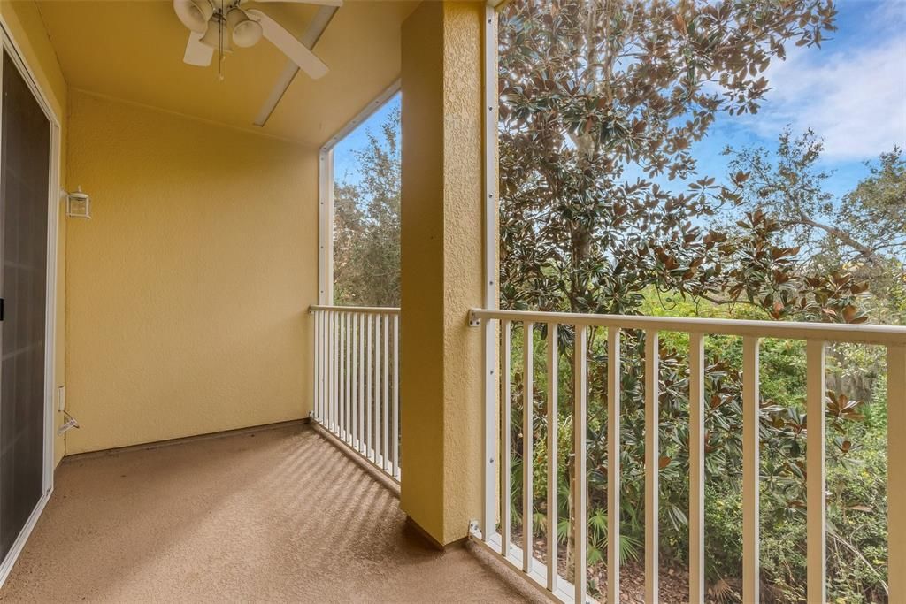 2nd story screened in Balcony with Preserve view
