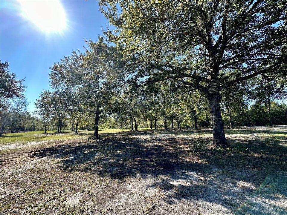 Recently Sold: $140,000 (2.70 acres)