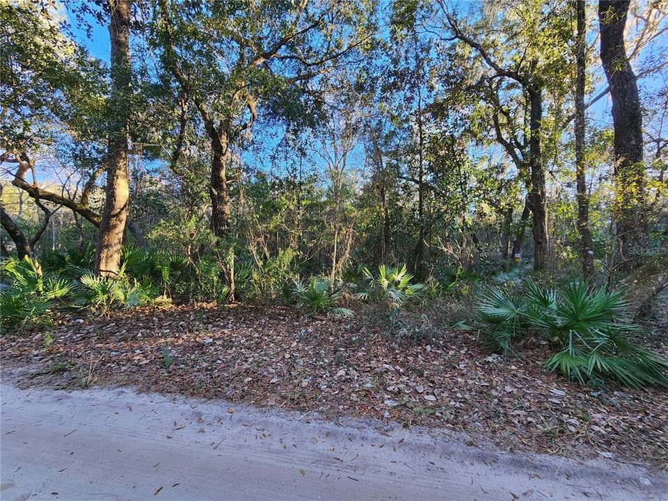 Recently Sold: $9,999 (0.18 acres)