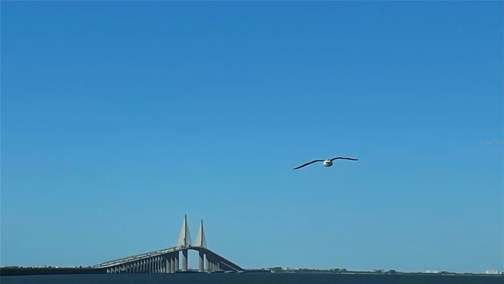 Take the Skyway Bridge only 31 miles away which connects you to Saint Petersburg
