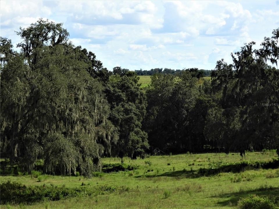 For Sale: $3,500,000 (132.00 acres)