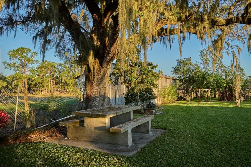 Concrete Picnic Table