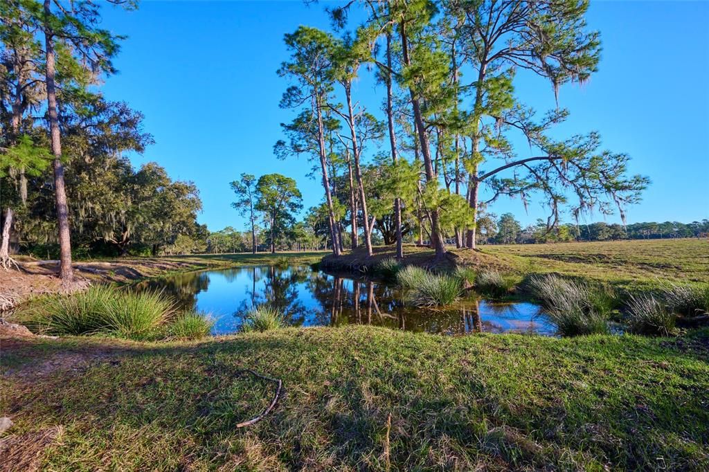 Stocked Pond