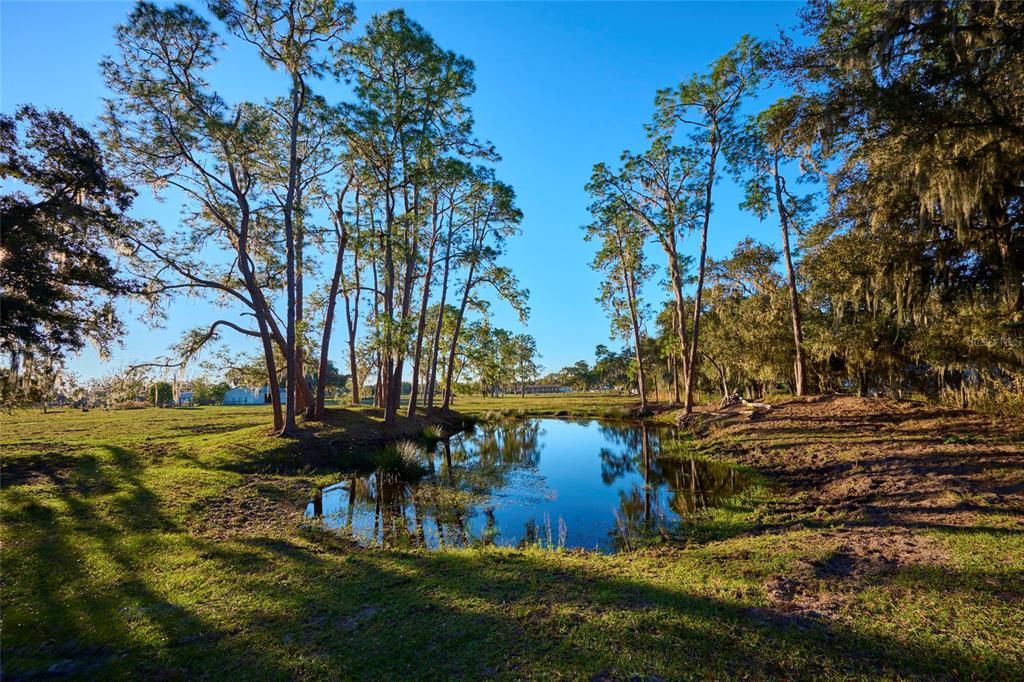 Stocked Pond