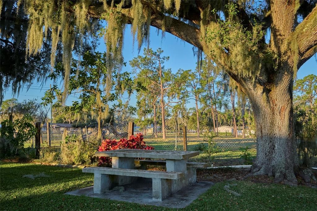 Concrete Picnic Table