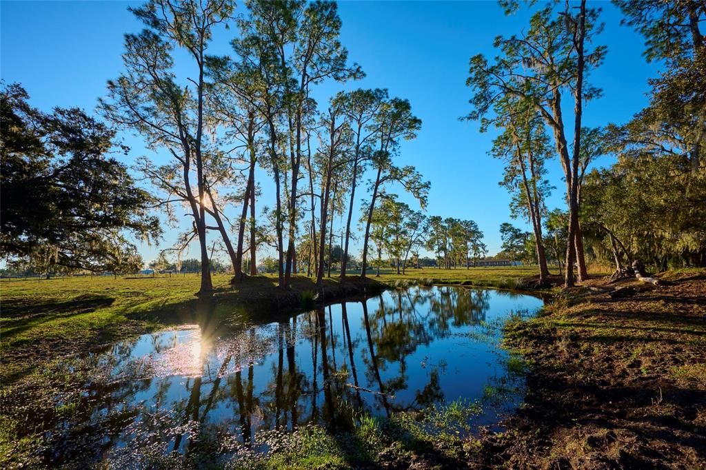 Stocked Pond