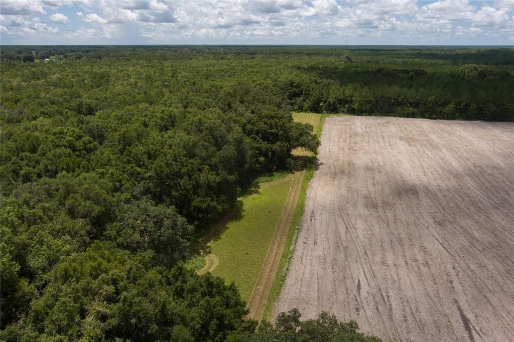 For Sale: $1,800,000 (117.50 acres)