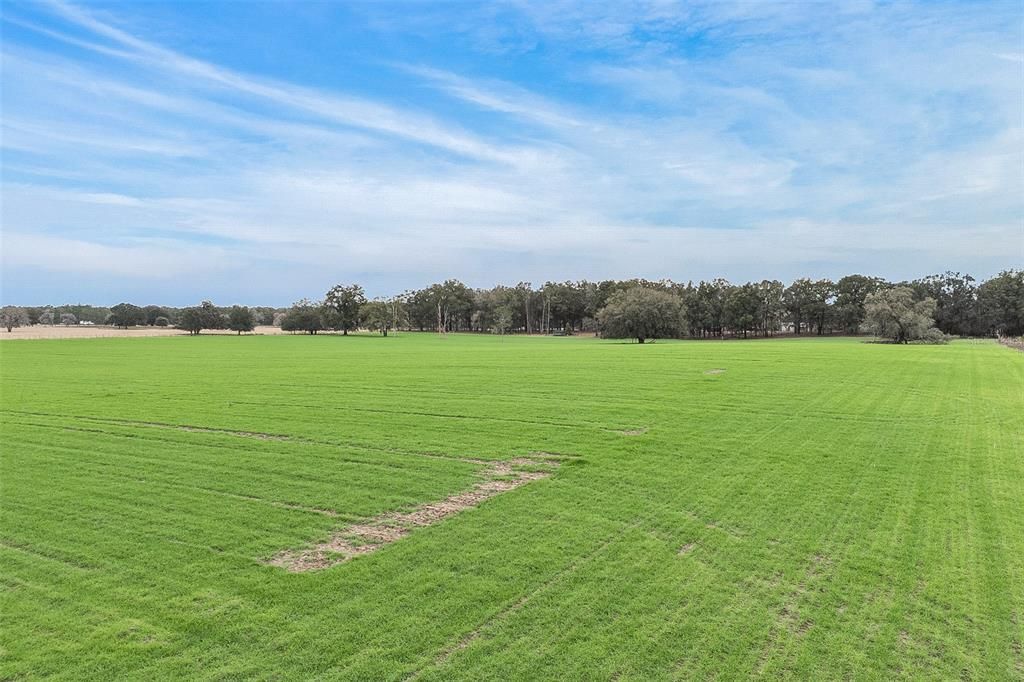 For Sale: $539,900 (22.90 acres)