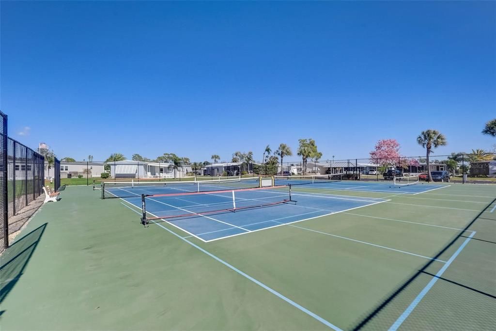 Alameda Isle Tennis / Pickleball Courts