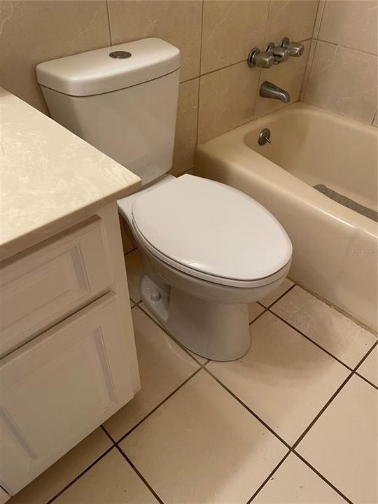 New Toilet in Bathroom January 2024