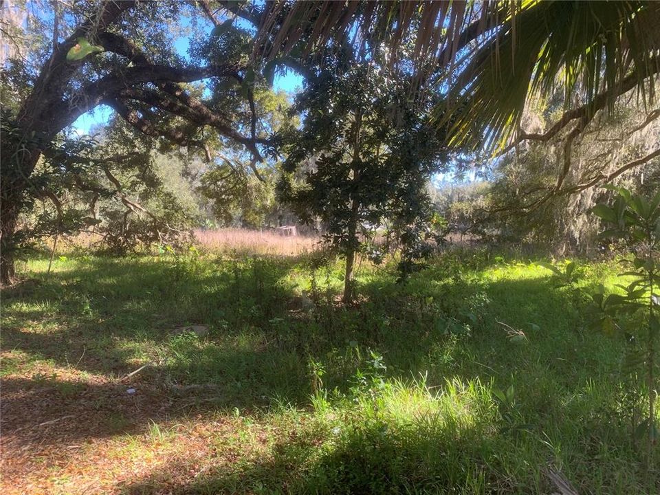 Recently Sold: $59,000 (1.25 acres)