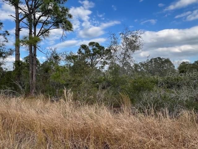 Recently Sold: $19,900 (0.69 acres)