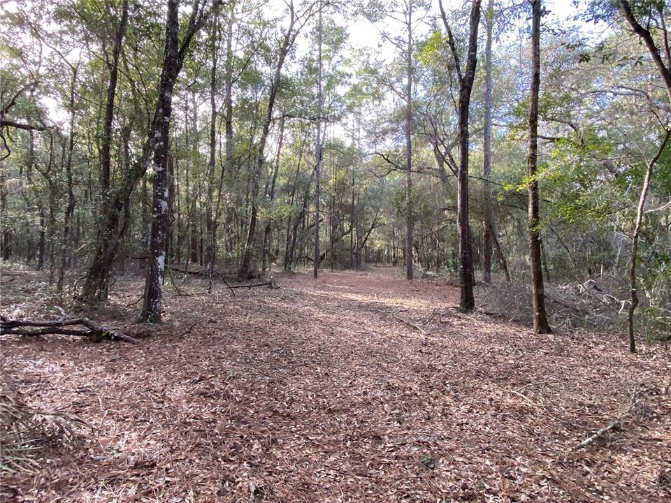 Recently Sold: $159,000 (10.00 acres)