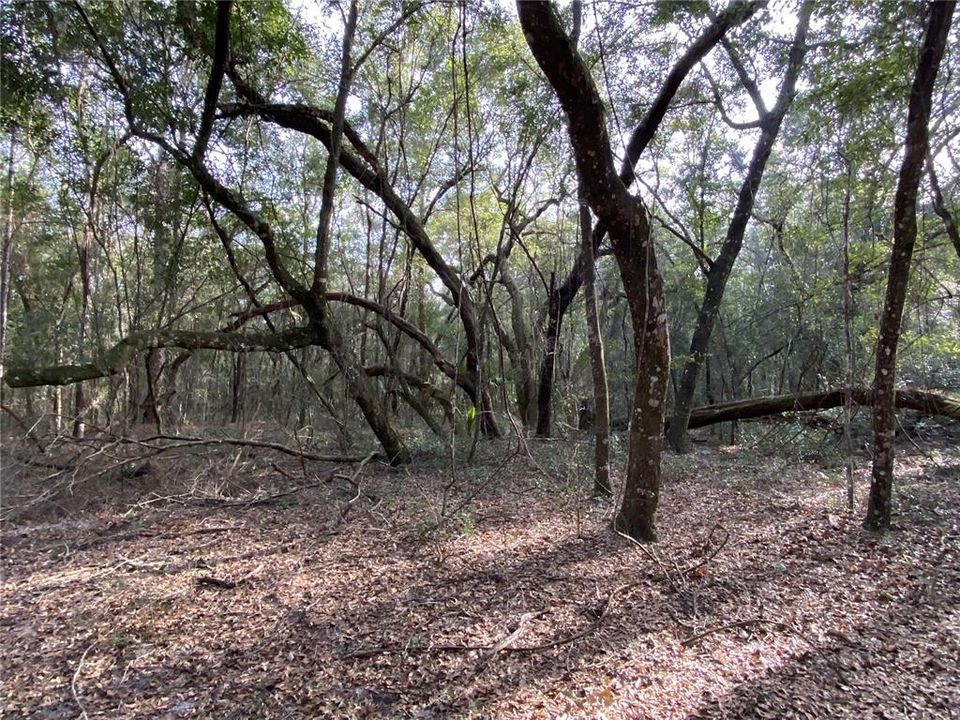 Vendido Recientemente: $159,000 (10.00 acres)