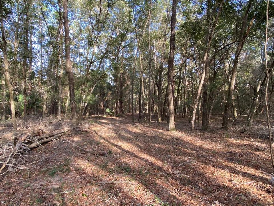 Recently Sold: $159,000 (10.00 acres)