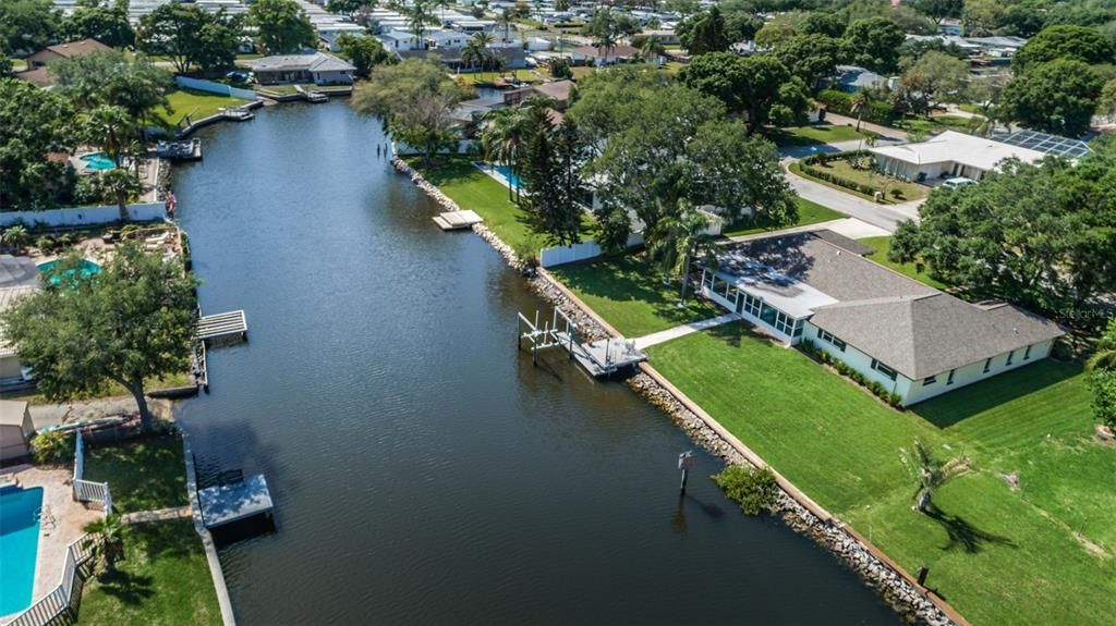 Enjoy Watching Dolphin & Manatees!